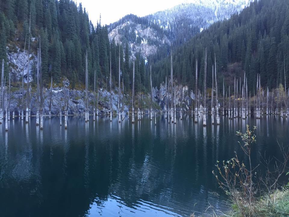 Almaty Backpackers 호스텔 외부 사진